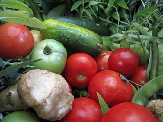 Veggies